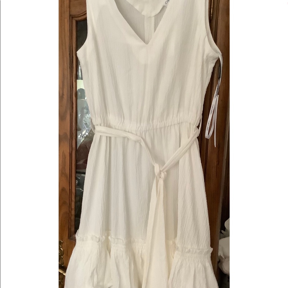 Dress - Picture 4 of 4